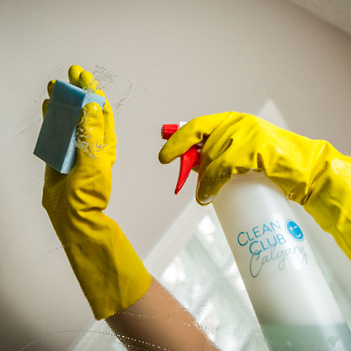 The Sparkling Details in the Simplest of Cleaning Tools