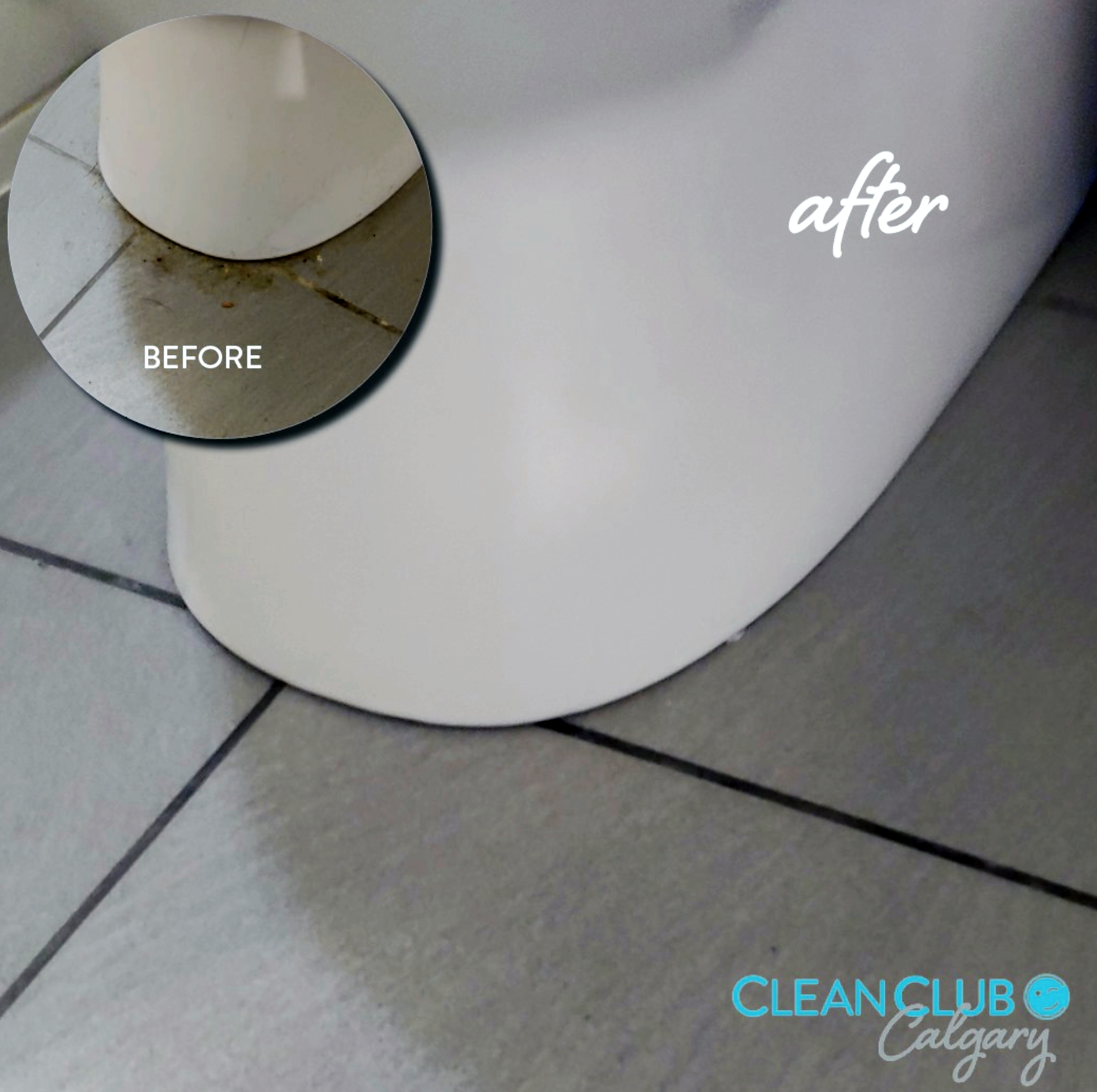 Scrub A Dub-Dub: The Truth in How to Clean a Toilet