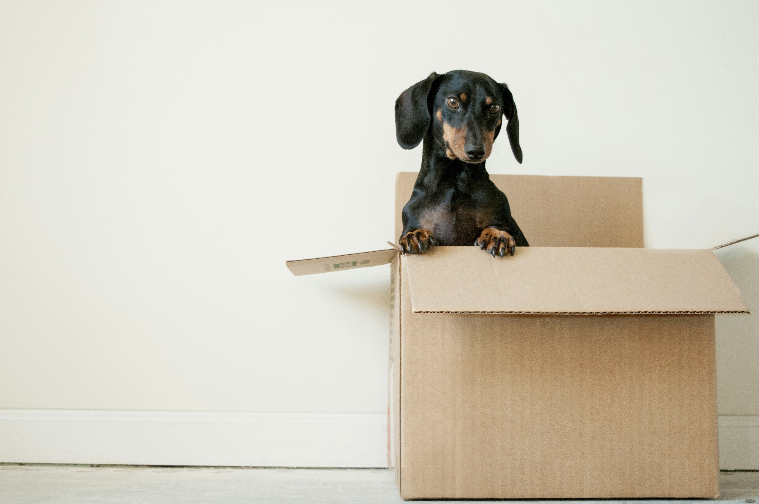 Move Out Cleaning Checklist: Ensuring a Smooth Transition in Calgary